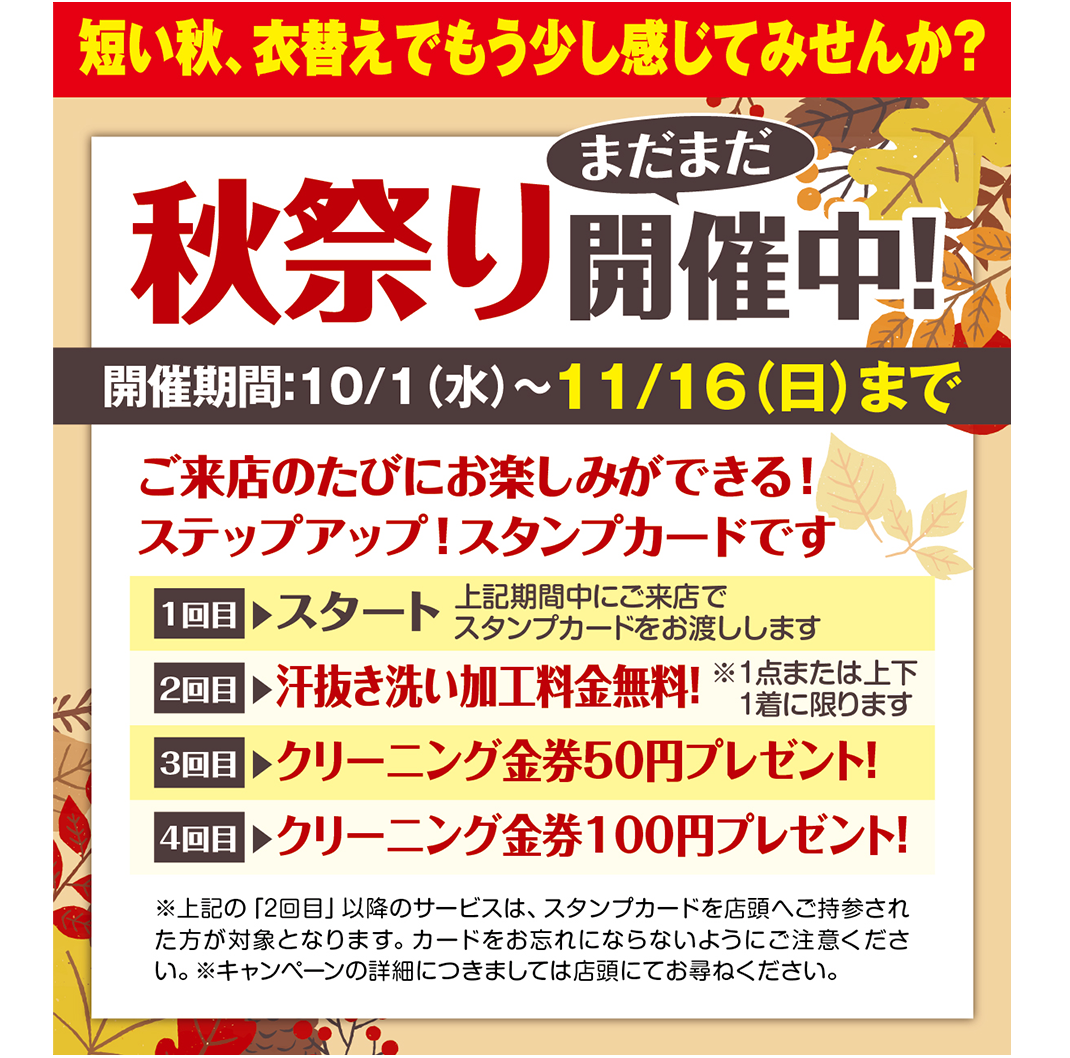 クリーニングモーム